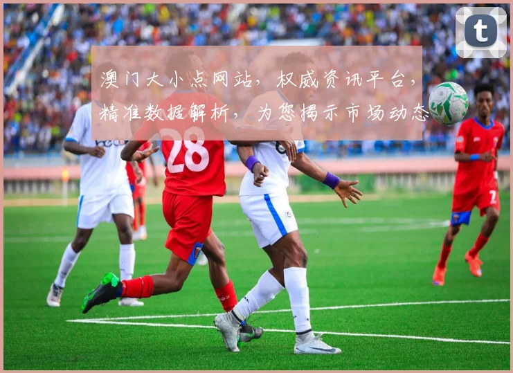 澳门大小点网站，权威资讯平台，精准数据解析，为您揭示市场动态，洞察行业趋势。