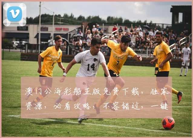澳门公海彩船正版免费下载，独家资源，必看攻略，不容错过，一键下载，畅享游戏