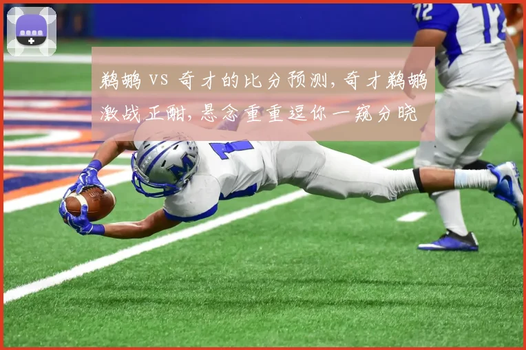 鹈鹕 vs 奇才的比分预测,奇才鹈鹕激战正酣,悬念重重逗你一窥分晓