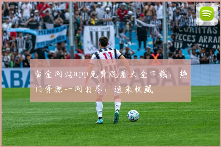 黄金网站app免费观看大全下载，热门资源一网打尽，速来收藏